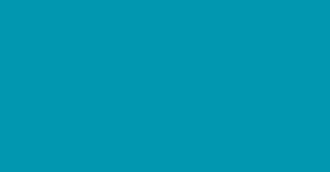 dark aqua color block used to represent website and marketing costs in 2024 by social nectar marketing